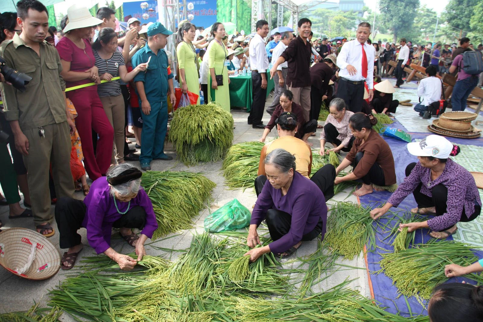 NGÀY HỘI VĂN HÓA CỐM MỄ TRÌ QUẬN NAM TỪ LIÊM NĂM 2016