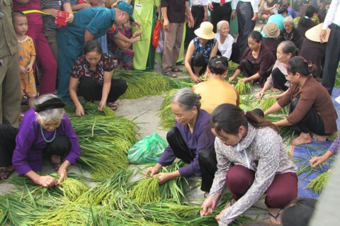 NGÀY HỘI VĂN HÓA CỐM MỄ TRÌ QUẬN NAM TỪ LIÊM NĂM 2016