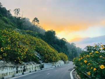 HÀ NỘI SẼ CẢI TẠO GẦN 9KM TUYẾN ĐƯỜNG ĐI VƯỜN QUỐC GIA BA VÌ